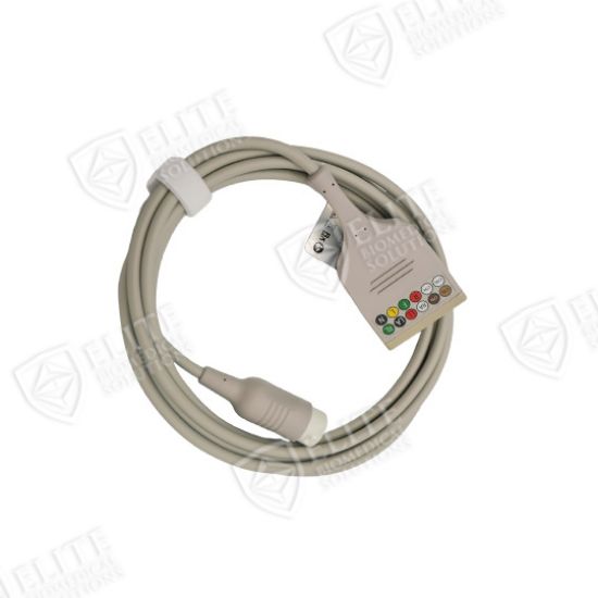 Picture of Philips Compatible 3 Lead Trunk Cable